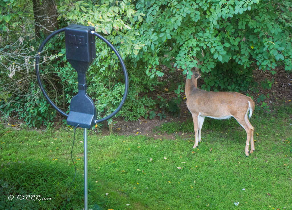 MFJ-1786 Loop Antenna - Various Stealth Antenna Installations