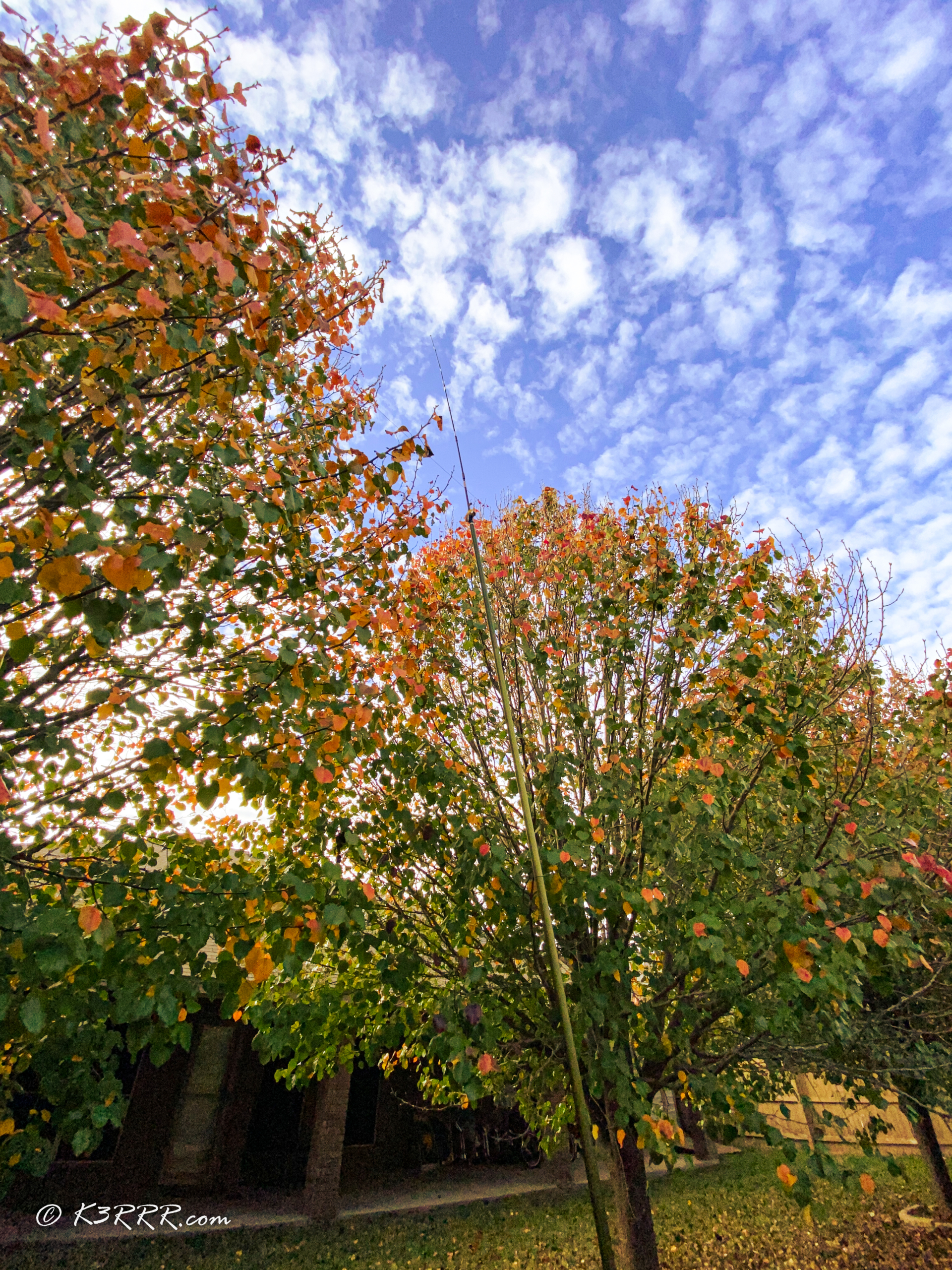 20211219 2021-12-19 15.17.58 iPhone 11 Pro Max