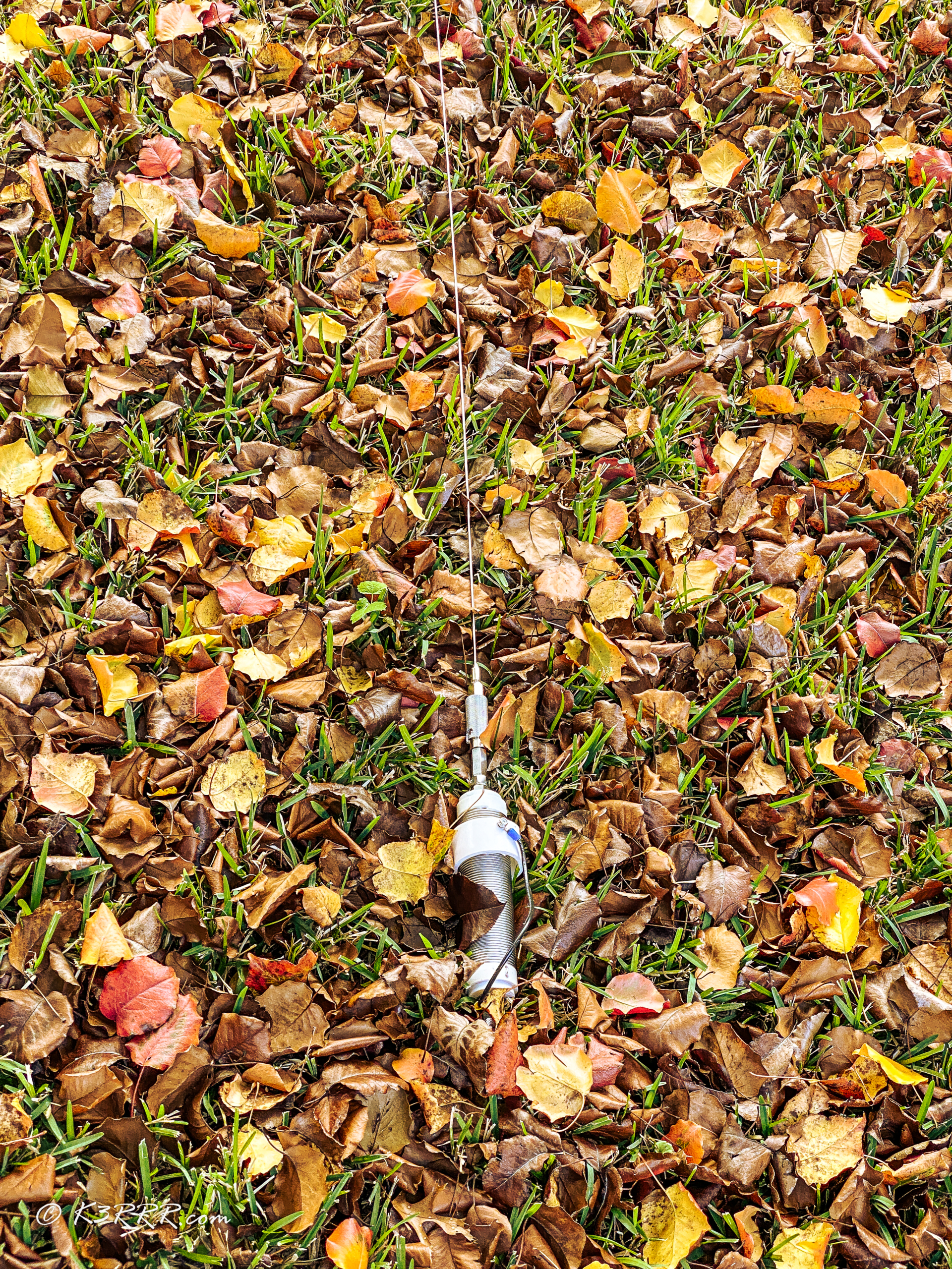 20211219 2021-12-19 15.53.20 iPhone 11 Pro Max